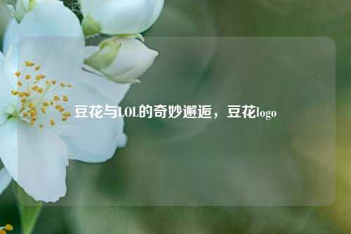 豆花与LOL的奇妙邂逅，豆花logo