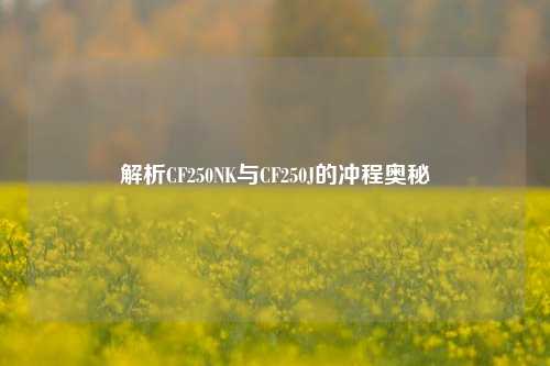 解析CF250NK与CF250J的冲程奥秘