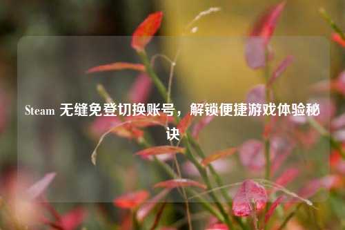 Steam 无缝免登切换账号，解锁便捷游戏体验秘诀