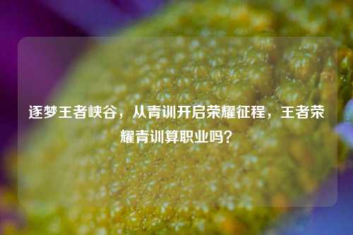 逐梦王者峡谷,从青训开启荣耀征程,王者荣耀青训算职业吗?