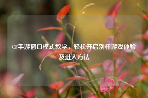 CF手游窗口模式教学,轻松开启别样游戏体验及进入方法