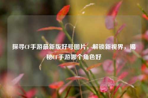 探寻CF手游最新版好号图片，解锁新视界，揭秘CF手游哪个角色好