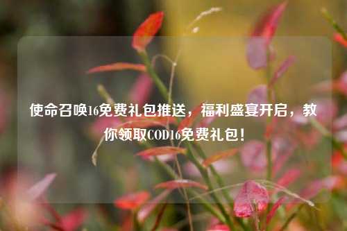 使命召唤16免费礼包推送,福利盛宴开启,教你领取COD16免费礼包!