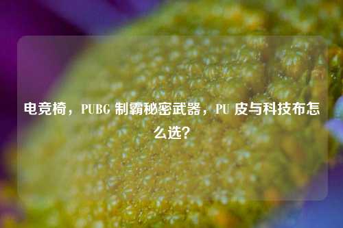 电竞椅,PUBG 制霸秘密武器,PU 皮与科技布怎么选?