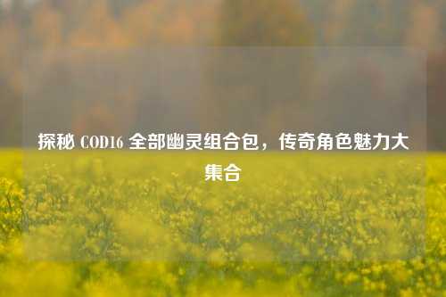 探秘 COD16 全部幽灵组合包，传奇角色魅力大集合