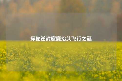 探秘逆战麋鹿抬头飞行之谜