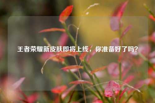 王者荣耀新皮肤即将上线，你准备好了吗？