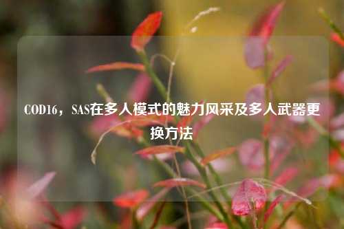 COD16，SAS在多人模式的魅力风采及多人武器更换方法