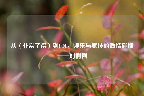 从〈非常了得〉到LOL，娱乐与竞技的激情碰撞——刘俐俐