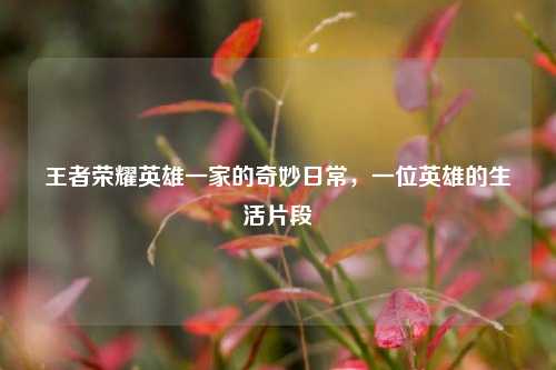 王者荣耀英雄一家的奇妙日常，一位英雄的生活片段