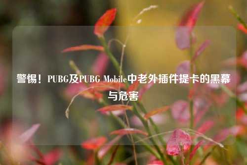 警惕!PUBG及PUBG Mobile中老外插件提卡的黑幕与危害