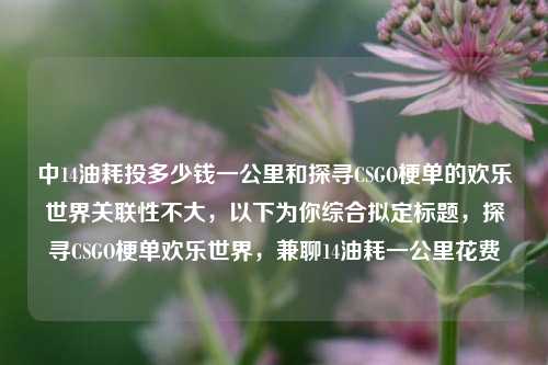 中14油耗投多少钱一公里和探寻CSGO梗单的欢乐世界关联性不大，以下为你综合拟定标题，探寻CSGO梗单欢乐世界，兼聊14油耗一公里花费