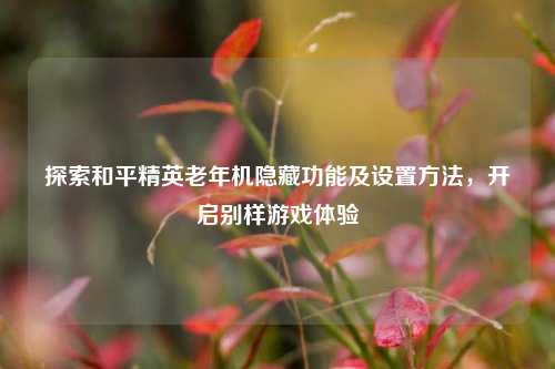 探索和平精英老年机隐藏功能及设置方法,开启别样游戏体验