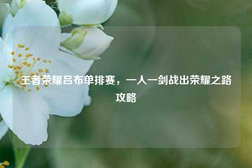王者荣耀吕布单排赛，一人一剑战出荣耀之路攻略