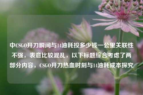 中CSGO开刀瞬间与14油耗投多少钱一公里关联性不强，表意比较混乱，以下标题综合考虑了两部分内容，CSGO开刀热血时刻与14油耗成本探究