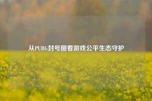 从PUBG封号图看游戏公平生态守护