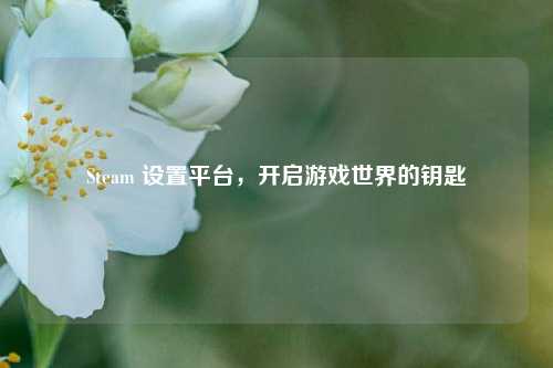 Steam 设置平台，开启游戏世界的钥匙