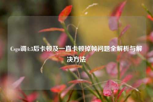 Csgo调4:3后卡顿及一直卡顿掉帧问题全解析与解决方法