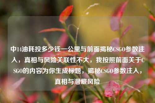 中14油耗投多少钱一公里与前面揭秘CSGO参数注入，真相与风险关联性不大，我按照前面关于CSGO的内容为你生成标题，揭秘CSGO参数注入，真相与潜藏风险