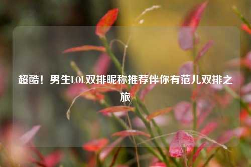 超酷！男生LOL双排昵称推荐伴你有范儿双排之旅