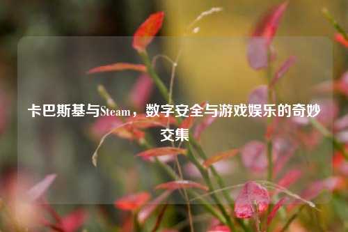 卡巴斯基与Steam，数字安全与游戏娱乐的奇妙交集