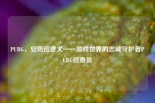 PUBG，安防巡逻犬——游戏世界的忠诚守护者PUBG巡查员