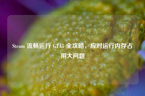Steam 流畅运行 GTA5 全攻略，应对运行内存占用大问题