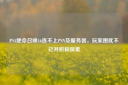 PS4使命召唤16连不上PSN及服务器，玩家困扰不已并积极探索