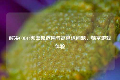 解决COD16频率超范围与高延迟问题，畅享游戏体验