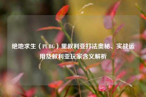 绝地求生（PUBG）里叙利亚打法奥秘、实战运用及叙利亚玩家含义解析