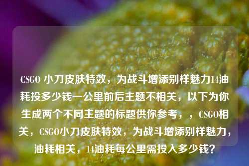 CSGO 小刀皮肤特效，为战斗增添别样魅力14油耗投多少钱一公里前后主题不相关，以下为你生成两个不同主题的标题供你参考，，CSGO相关，CSGO小刀皮肤特效，为战斗增添别样魅力，油耗相关，14油耗每公里需投入多少钱？