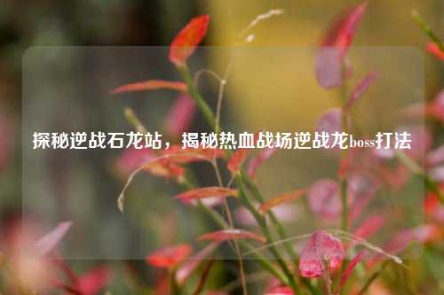 探秘逆战石龙站，揭秘热血战场逆战龙boss打法