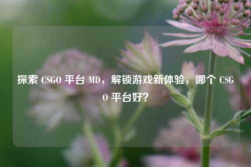 探索 CSGO 平台 MD，解锁游戏新体验，哪个 CSGO 平台好？