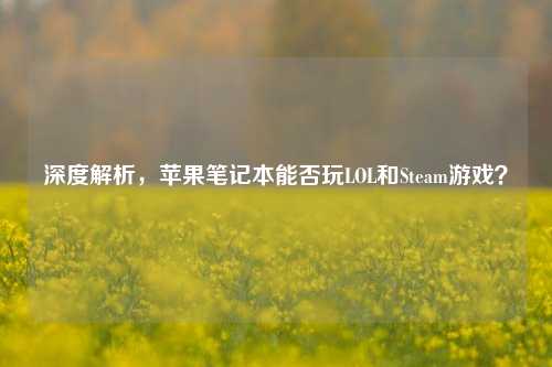 深度解析，苹果笔记本能否玩LOL和Steam游戏？
