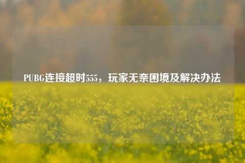 PUBG连接超时555，玩家无奈困境及解决办法