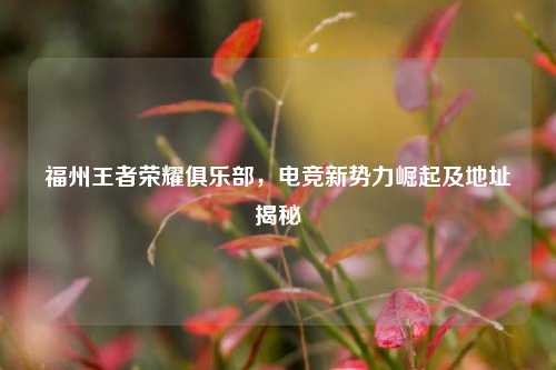 福州王者荣耀俱乐部，电竞新势力崛起及地址揭秘