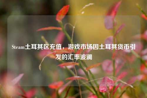 Steam土耳其区充值，游戏市场因土耳其货币引发的汇率波澜