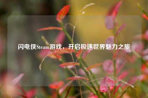 闪电侠Steam游戏，开启极速世界魅力之旅