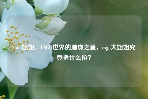 Soda姐姐，CSGO世界的璀璨之星，csgo大姐姐究竟指什么枪？