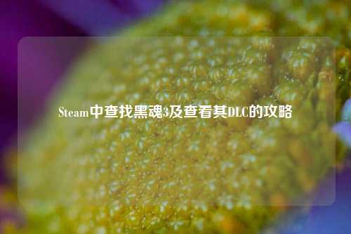 Steam中查找黑魂3及查看其DLC的攻略