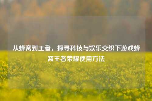 从蜂窝到王者，探寻科技与娱乐交织下游戏蜂窝王者荣耀使用方法