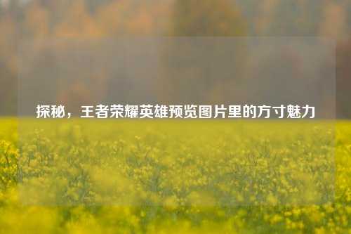 探秘,王者荣耀英雄预览图片里的方寸魅力