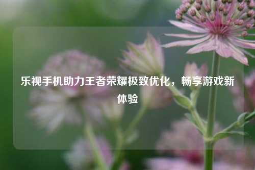 乐视手机助力王者荣耀极致优化，畅享游戏新体验