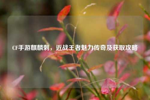 CF手游麒麟刺，近战王者魅力传奇及获取攻略