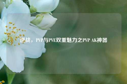 逆战，PVP与PVE双重魅力之PVP AK神器