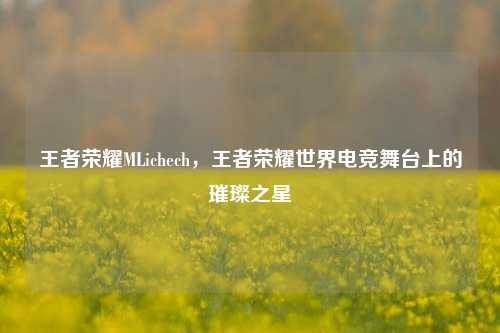 王者荣耀MLichech，王者荣耀世界电竞舞台上的璀璨之星