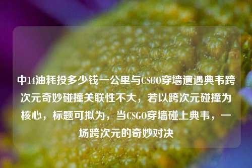 中14油耗投多少钱一公里与CSGO穿墙遭遇典韦跨次元奇妙碰撞关联性不大，若以跨次元碰撞为核心，标题可拟为，当CSGO穿墙碰上典韦，一场跨次元的奇妙对决
