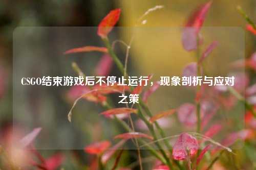 CSGO结束游戏后不停止运行，现象剖析与应对之策