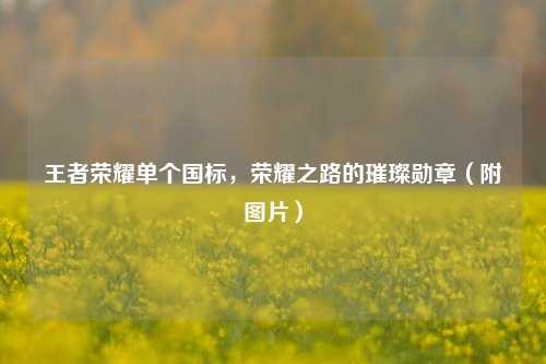 王者荣耀单个国标，荣耀之路的璀璨勋章（附图片）