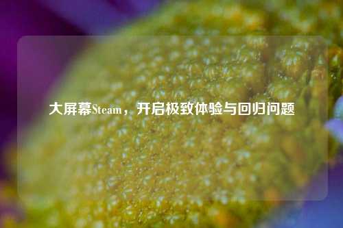 大屏幕Steam，开启极致体验与回归问题